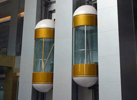 Capsule Elevators